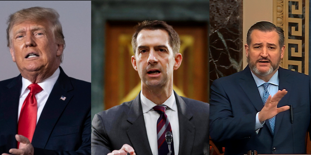 Former President Trump, Sen. Tom Cotton, R-Ark., and Sen. Ted Cruz, R-Texas, are considered top potential contenders in the 2024 GOP primary for president.