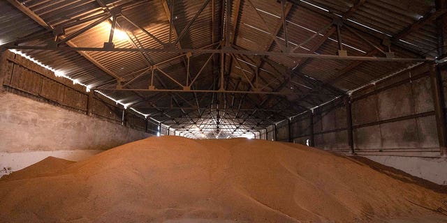 A wheat warehouse belonging to Ivan Kilgan, head of the regional agricultural association village, in Luky village, in western Ukraine, March 25, 2022. 