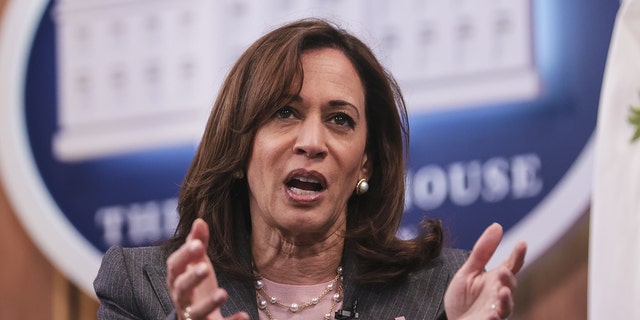 US Vice President Kamala Harris speaks about reproductive rights while meeting virtually with abortion providers in the Eisenhower Executive Office Building in Washington, D.C., US, on Thursday, May 19, 2022. 