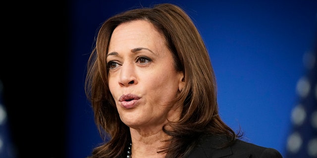 Vice President Kamala Harris speaks at the Tribal Nations Summit on the White House campus, Nov. 16, 2021.