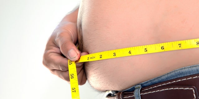 Obese person measuring his belly.