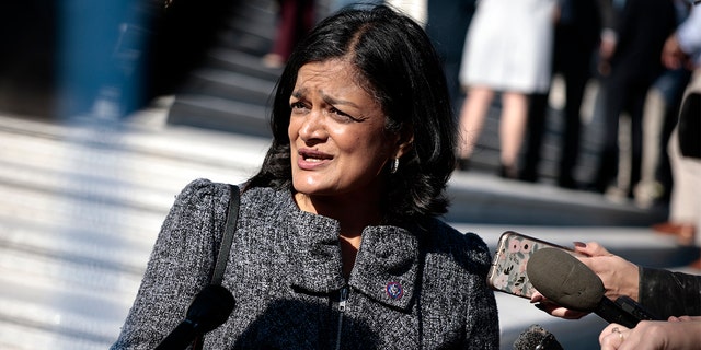 Chair of the Congressional Progressive Caucus Rep. Pramila Jayapal, was among a group of Democrats who demanded an increase to their Members' Representational Allowances to pay for personal security.  