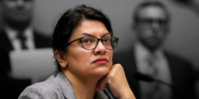 Rep. Rashida Tlaib, D-Mich., has had close ties to a Palestinian activist who has a long history of anti-Semitic social media posts, including calling Jews "satanic."