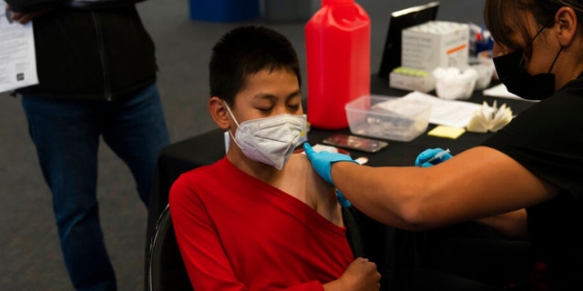 A youngster receives the Pfizer COVID-19 vaccine at a pediatric vaccine clinic for children ages 5 to 11 set up at Willard Intermediate School in Santa Ana, Calif., Tuesday, Nov. 9, 2021. 