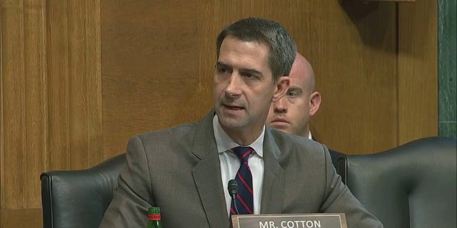 Sen. Tom Cotton, R-Ark., questions President Biden's pick to lead the Bureau of Alcohol, Tobacco, Firearms and Explosives, Steven Dettelbach on May 25, 2022, during a Senate Judiciary Committee hearing.