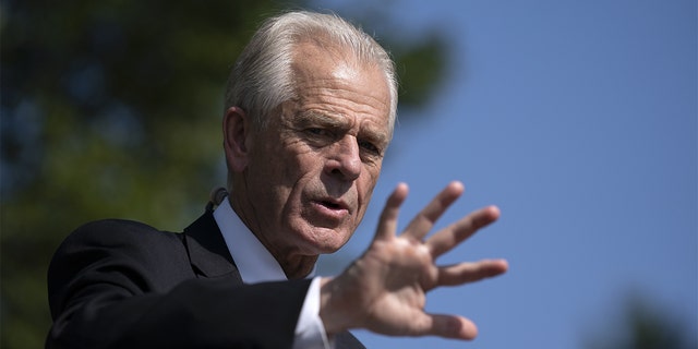 FILE - Peter Navarro, director of the National Trade Council, speaks to members of the media outside the White House in Washington, D.C., Aug. 28, 2020.