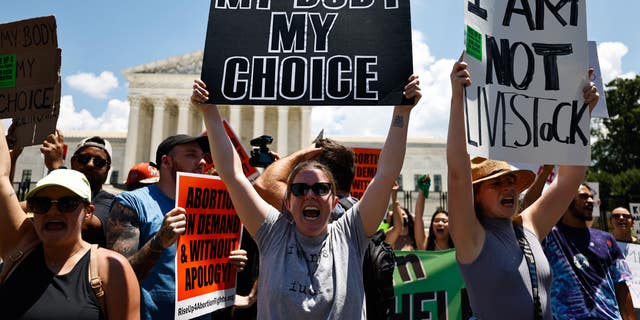 Protesters gather in front of the Supreme Court building in Washington D.C. following the ruling to overturn Roe vs. Wade.