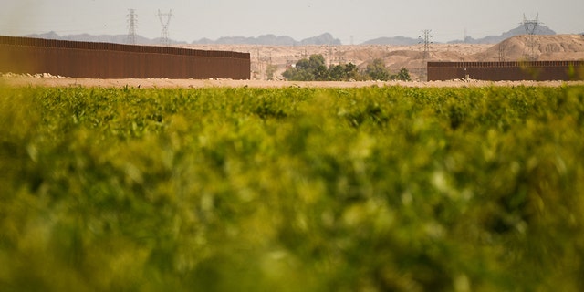 A gap in the border wall between the U.S. and Mexico is seen from farmland in Yuma, Arizona on June 1, 2022.