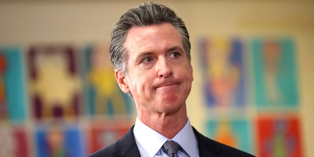 California is estimated to have spent over $1 billion on diversity, equity, and inclusion initiatives, according to the Center for Organizational Research and Education (CORE). CORE submitted nearly 400 public records requests to Governor Gavin Newsom's administration.