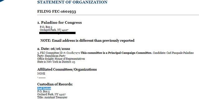 Paladino for Congress FEC filing