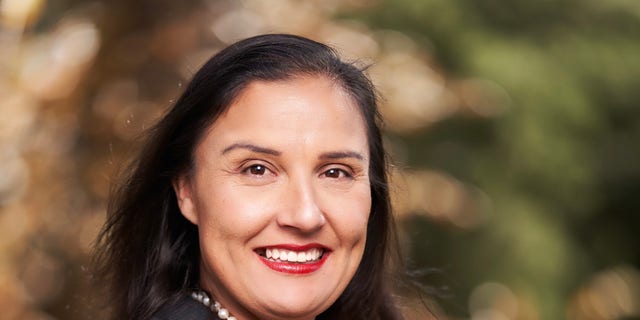 Alexis Martinez Johnson, candidate for New Mexico's 3rd Congressional District