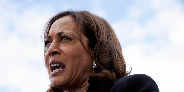 Vice President Kamala Harris speaks with members of the press before boarding Air Force Two at Buffalo Niagara International Airport, Saturday, May 28, 2022, in Buffalo, N.Y. Harris is returning to Washington after attending a memorial service for Ruth Whitfield, a victim of the Buffalo supermarket shooting. (AP Photo/Patrick Semansky)