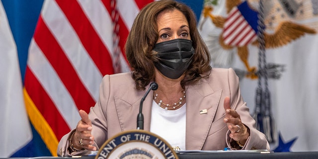 Vice President Kamala Harris speaks during a meeting with North Carolina state legislators at the Carole Hoefener Center in Charlotte, North Carolina, on July 21, 2022. 