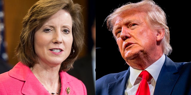 A photo combination of Donald Trump and Vicky Hartzler. Former U.S. President Donald Trump speaks during the American Freedom Tour at the Austin Convention Center on May 14, 2022 in Austin, Texas. (Brandon Bell/Getty Images).