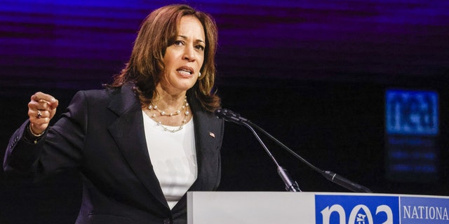 U.S. Vice President Kamala Harris speaks at the National Education Association's 2022 annual meeting in Chicago July 5, 2022. 