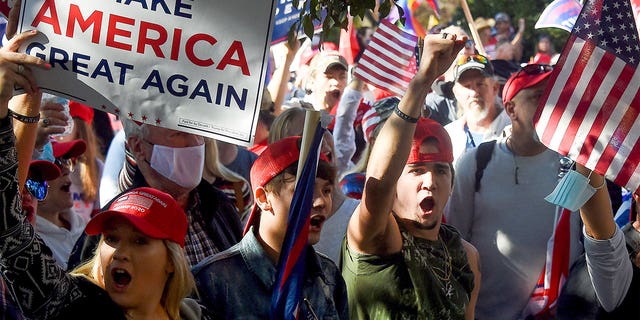 Supporters of President Trump rally in Washington, D.C., Nov. 14, 2020.