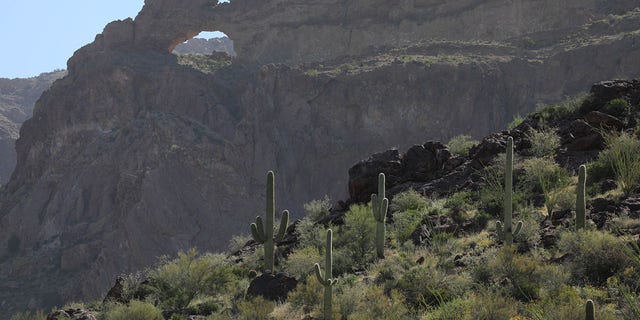 The Arizona desert in Tucson Sector where two children were rescued by Border Patrol agents.