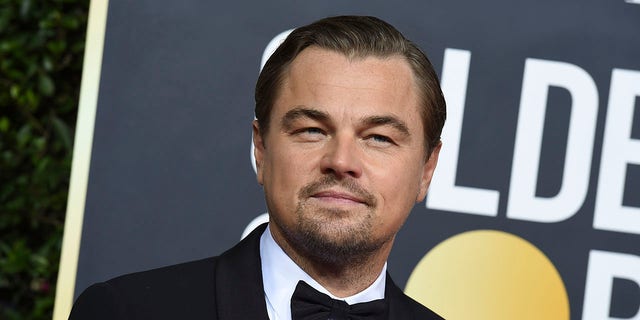 Actor Leonardo DiCaprio has taken several private jets on trips across the world in recent years, including flying from Europe to New York City to accept an environmental activism award in 2016.