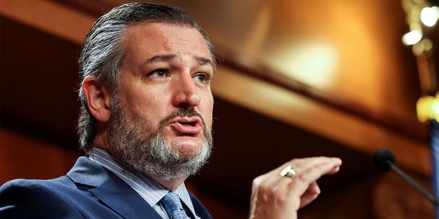 FILE PHOTO: U.S. Senator Ted Cruz (R-TX) addresses a news conference on Capitol Hill in Washington, U.S., October 6, 2021. 