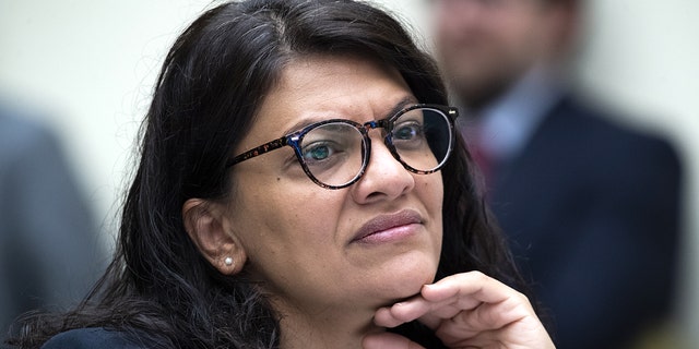 Rep. Rashida Tlaib has collected up to $100,000 from rental income over the last two years despite pushing to cancel rent during that time.