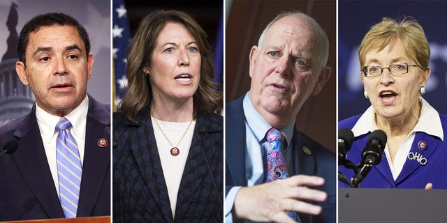 From left to right: Vulnerable Democratic Reps. Henry Cuellar of Texas, Cindy Axne of Iowa, Tom O'Halleran of Arizona, and Marcy Kaptur of Ohio.