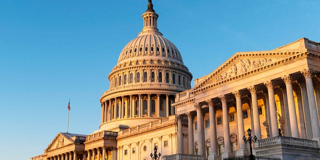 The U.S. Capitol in Washington, D.C.