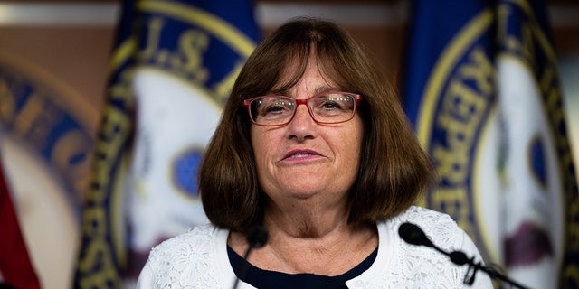 Rep. Annie Kuster, D-N.H., participates in the news conference on the Lower Food and Fuel Costs Act in the Capitol on Wednesday, June 15, 2022.