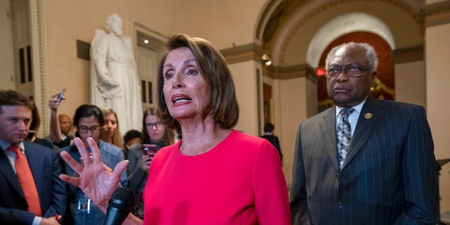 Republican opposition to the bill was not enough in the House, where Democrats, led by Speaker Nancy Pelosi, hold a slim majority, and the bill passed in a 220-208 vote. 