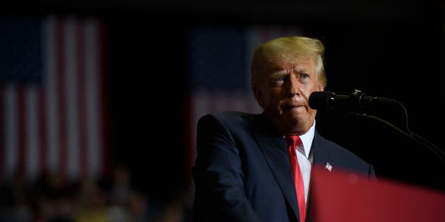 Former President Donald Trump speaks at a Save America Rally. (Jeff Swensen/Getty Images)