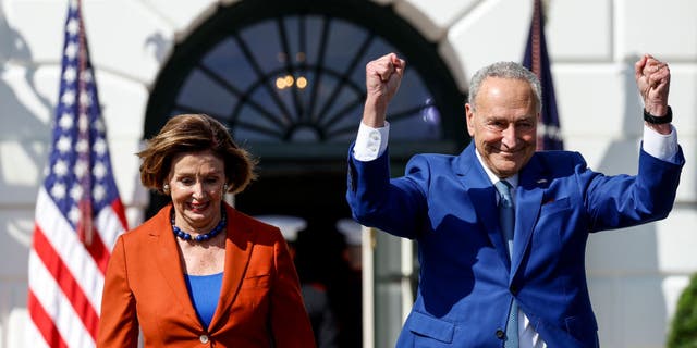 U.S. Speaker of the House Nancy Pelosi (D-CA) and Senate Majority Leader Chuck Schumer (D-NY) are working this week to avoid a partial government shutdown. (Photo by Anna Moneymaker/Getty Images)