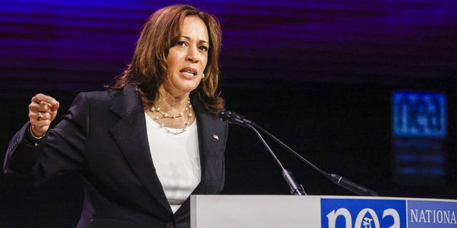 Vice President Kamala Harris speaks at the National Education Association 2022 annual meeting and representative assembly in Chicago, Illinois, on July 5, 2022.