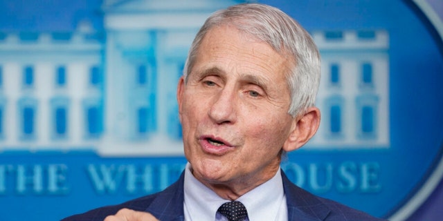 Dr. Anthony Fauci speaking at the White House