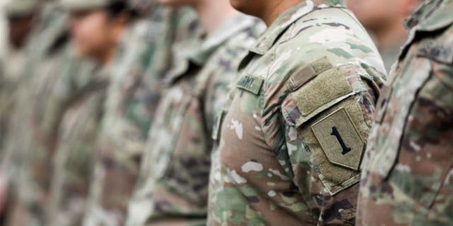 Members of the U.S. Army stand in formation.