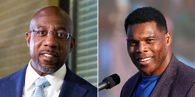 Georgia Senate candidates Raphael Warnock and Herschel Walker will go into a runoff election.