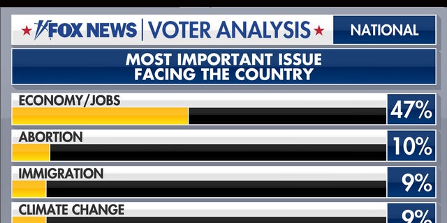 What is the most important issue facing the country?