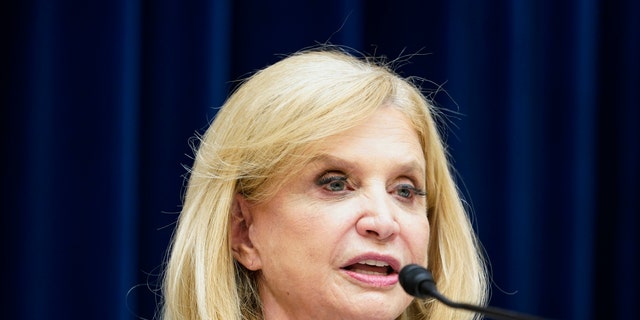 Chairwoman Rep. Carolyn Maloney, D-N.Y., asks a question during a House Committee on Oversight and Reform hearing. (AP Photo/Mariam Zuhaib)