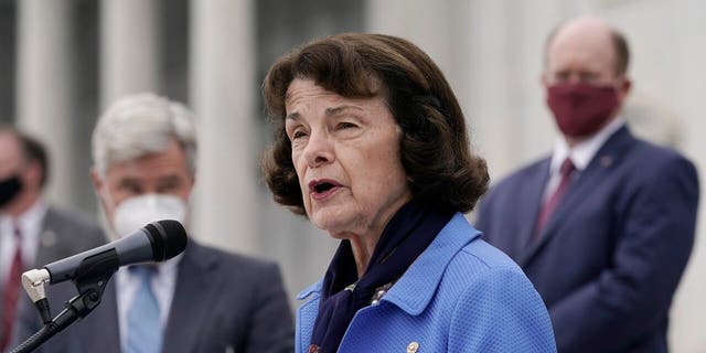 Senate Judiciary Committee ranking member Sen. Dianne Feinstein, D-Calif., speaks during a news conference. (AP Photo/J. Scott Applewhite)