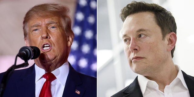 A split photo of former U.S. President Donald Trump on November 15, 2022 in Palm Beach, Florida and Elon Musk at SpaceX headquarters in Hawthorne, California, U.S., on Thursday, Oct. 10, 2019.