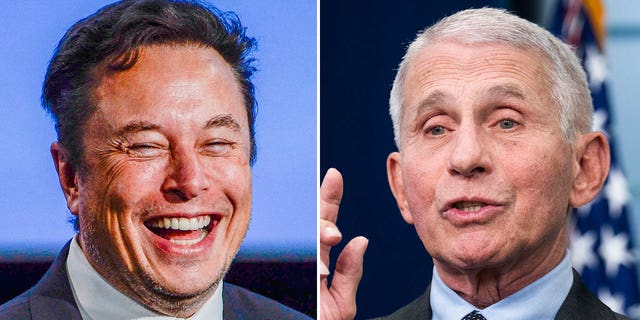 On the left, Tesla CEO Elon Musk smiles as he addresses guests at the Offshore Northern Seas 2022 (ONS) meeting in Stavanger, Norway on August 29, 2022. On the right, Dr. Anthony Fauci speaks about the coronavirus during the White House press briefing on Tuesday, November 22, 2022. 