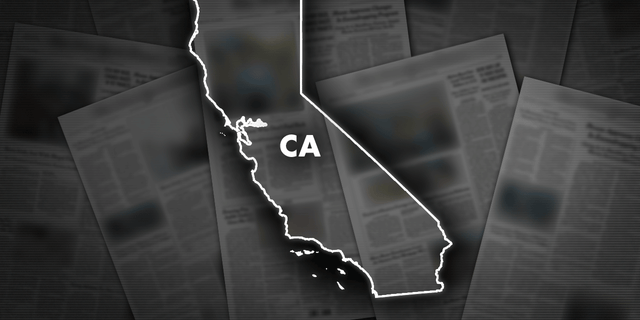 Former Santa Monica, California, Mayor Rex Chapman was reportedly killed in a Thursday plane crash.