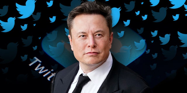 Elon Musk has wasted little time making his mark on Twitter since he took over last month.