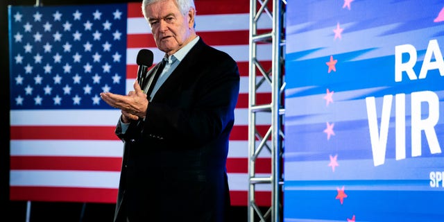 Former House Speaker Newt Gingrich speaks during a rally at Ballyhoos restaurant one day before the midterm elections on Monday, Nov. 7, 2022, in Virginia Beach, Virginia.
