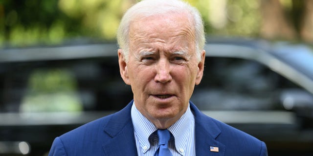 US President Joe Biden has not officially announced if he will seek a second term in 2024.
