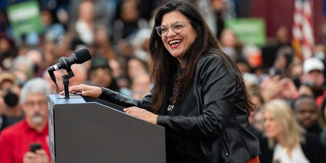 "This would gut bedrock environmental regulations and fast-track fossil fuel projects," said Rep. Rashida Tlaib, D-Mich. "I refuse to allow our residents in frontline communities to continue to be sacrificed for the fossil fuel industry’s endless greed." (Photo by Dominick Sokotoff/SOPA Images/LightRocket via Getty Images) 