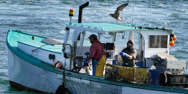 Lobstermen bait a lobster trap while fishing off the coast of South Portland, Maine.