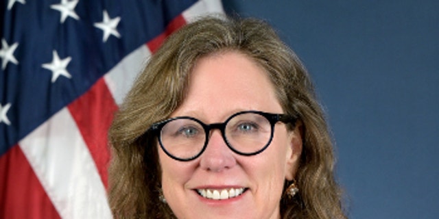 Ann Carlson's official National Highway Traffic Safety Administration portrait.