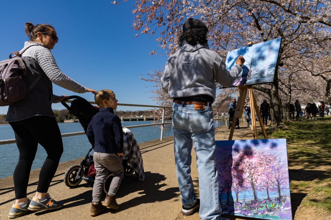 The cherry blossom trees have begun to bloom along the Tidal Basin Monday, March 20, 2023, in Washington, on the first day of the National Cherry Blossom Festival. 