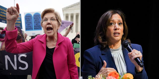 Vice President Kamala Harris briefly feuded with Sen. Elizabeth Warren over a re-election endorsement snub.