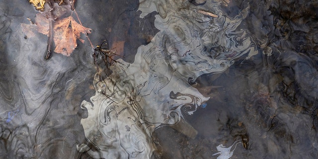 Chemicals float on the top of the water in Leslie Run creek after being agitated from the sediment on the bottom of the creek on Feb. 20, 2023. The EPA administrator told kids to stay out of creeks and streams.