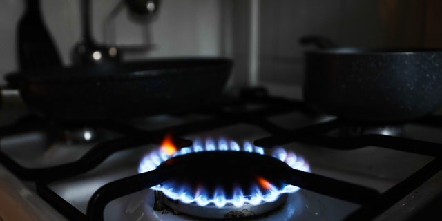 The Biden administration and Democrat-led cities are proposing measures to ban gas stoves.